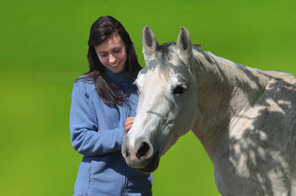 La relazione nella Medicina Veterinaria Sistemica